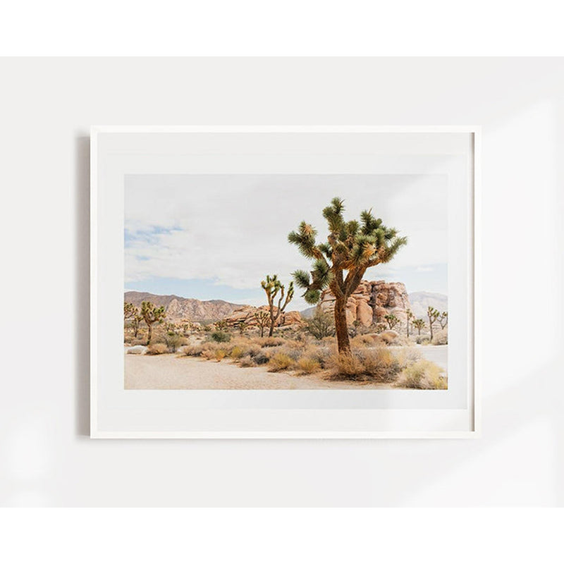 Joshua Tree Cactus Desert Print pillow